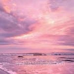 عکس صارف کے لئے Zahid Mirza