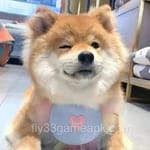 Avatar of Sumbul Khan